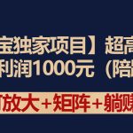 （9413期）【淘宝独家项目】超高利润：每单利润1000元