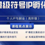 超级符号IP孵化高阶课，建立流量思维底层逻辑，打造属于自己IP（51节课）