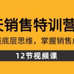 28天销售特训营5期：了解赚钱底层思维，掌握销售成交密码（12节课）