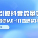 （8951期）2024引爆·抖音流量实战课，手把手教你从0-1打造爆款抖音账号（27节）