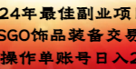 （8941期）2024年最佳副业项目 CSGO饰品装备交易 轻易操作单账号日入200+