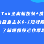 TikTok全案短视频+独立站，学会能自主从0-1短视频起号、了解短视频运作原理等