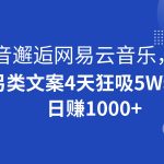 抖音邂逅网易云音乐，另类文案4天狂吸5W粉，日赚1000+