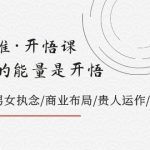 天道思维·开悟课-最高维的能量是开悟 文化属性/男女执念/商业布局/贵人运作/财富密码