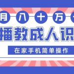 直播教成人识字，在家手机简单操作，月入10万