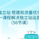 （9156期）独立站 搭建和流量优化，三合一课程解决独立站运营问题（56节课）
