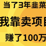 （9100期）当了3年韭菜，我靠卖项目赚了100万