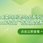 （9064期）Facebook-菜鸟到老鸟全系列运营玩法+Facebook-专业广告投放全系列课程