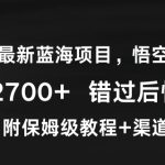 2024年最新蓝海项目，悟空网盘拉新，日入2700+错过后悔一年【附保姆级教程+渠道】