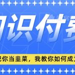 2024最新知识付费项目，小白也能轻松入局，全网都在教你做项目，我教你做镰刀