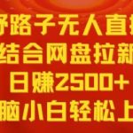 野路子无人直播结合网盘拉新，日赚2500+，小白无脑轻松上手