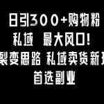 日引300+购物粉，超级裂变思路，私域卖货新玩法，小红书首选副业