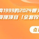外面卖1999的2024爆火宝妈粉回收变现项目【全套软件+玩法】