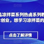李记·精品凉拌菜系列热卤系列教程，想小本创业，想学习凉拌菜的进