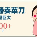无人冷门品直播新玩法，通过卖菜刀日入1000+