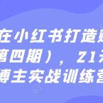 从0到1在小红书打造赚钱的个人IP（第四期），21天小红书博主实战训练营