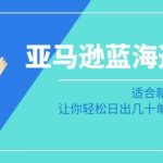 亚马逊-蓝海选品课：适合新手小白卖家，让你轻松日出几十单小爆款产品