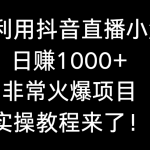（8870期）如何利用抖音直播小游戏日赚1000+，非常火爆项目，实操教程来了！