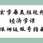 （8820期）玄学 垂类短视频经济学课，保姆级做号指南（8节课）