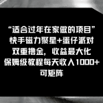 （8797期）适合过年在家做的项目，快手磁力+蛋仔派对，双重撸金，收益最大化 保姆…