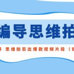 （8785期）用编导的思维拍剪，教你用编导 思维拍剪出爆款视频片段（镜头语言）