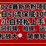 （8783期）2024最新换脸项目，小白轻松上手，单号单月变现3W＋，可批量矩阵操作放大