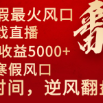（8766期）2024年最火寒假风口项目 小游戏直播 单场收益5000+抓住风口 一个月直接提车