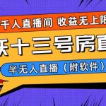 （8711期）爆火飞跃十三号房半无人直播，一场直播上千人，日入过万！（附软件）