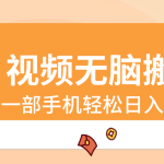 （8703期）视频无脑搬砖，一部手机轻松日入400+