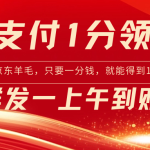 （8678期）京东支付1分得16元实操到账200