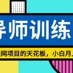 （8618期）《导师训练营》互联网项目的天花板，小白月入2w