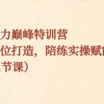 （8597期）表现力巅峰特训营，全方位打造，陪练实操赋能（21节课）