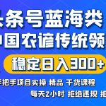 （8595期）头条号蓝海类目传统和农谚领域实操精品课程拒绝违规封号稳定日入300+
