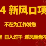 （8587期）2024新风口项目，不在为工作发愁，长期稳定，日入过千 逆风翻盘不是梦