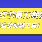 （8580期）小红书截流引流大法，简单无脑粗暴，日引20-30个高质量创业粉（送自动加…