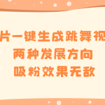 （8552期）图片一键生成跳舞视频，两种发展方向，吸粉效果无敌，
