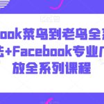 Facebook菜鸟到老鸟全系列运营玩法+Facebook专业广告投放全系列课程