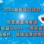 （8545期）2024最新风口项目 低密度蓝海赛道，日收益5000+周收益4w+ 无脑操作，保…