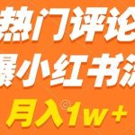 热门评论引爆小红书流量，作品制作简单，商单接到手软