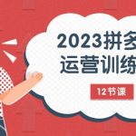 #原创
                                 
                                                                2023拼多多运营训练营：流量底层逻辑，免费+付费流量玩法（12节课）