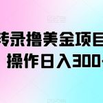 翻译转录撸美金项目，轻松操作日入300+