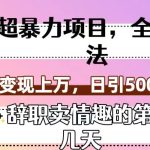 超暴利项目，全新玩法（辞职卖情趣的第几天），七天变现上万，日引500+粉