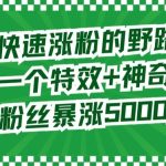 两个快速涨粉的野路子，一个特效+神奇布偶，粉丝暴涨5000起