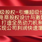 超级股权-引爆超级价值：电商股权设计与激励：打造全员动力机制 实现快速增长