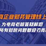 电商企业-财务管理线上课：为电商老板答疑解惑-让所有财税问题都迎刃而解