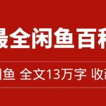 全网最全闲鱼百科全书，全文13万字左右，带你玩赚闲鱼卖货，从0到月入过万