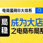 八大体系布局篇·布局做稳，成为大店的电商布局线上课