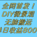 全网首发冷门赛道！DIY微景观，无脑搬运视频，日收益800+