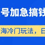 视频号加急搞钱计划，蓝海冷门玩法，日入500+【揭秘】