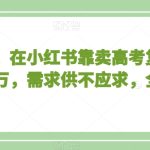 不用投资，在小红书靠卖高考复习资料，月入一万，需求供不应求，全是利润【揭秘】